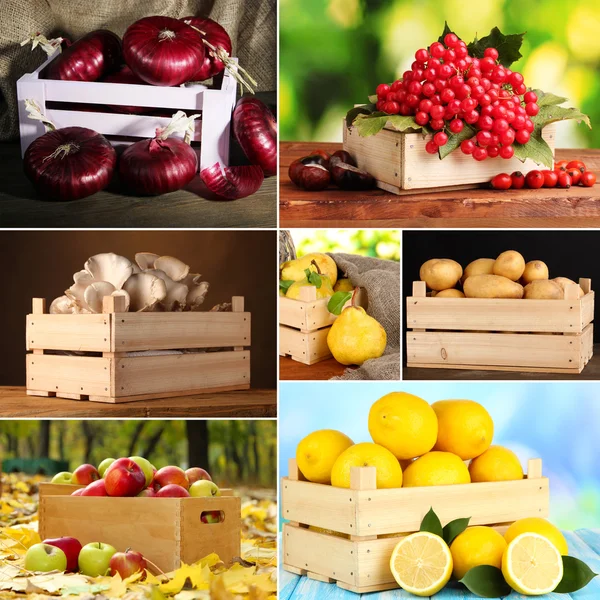 Collage of fruits and vegetables in wooden boxes
