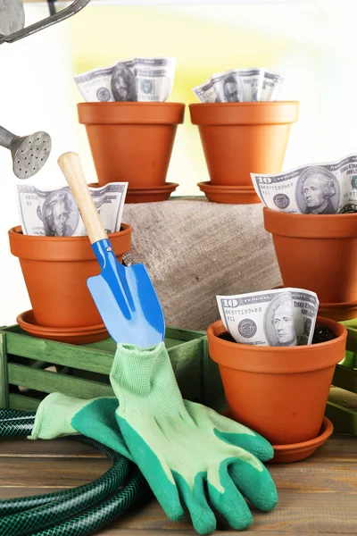 Business concept: growing money in the flowerpots and gardening tools on nature background