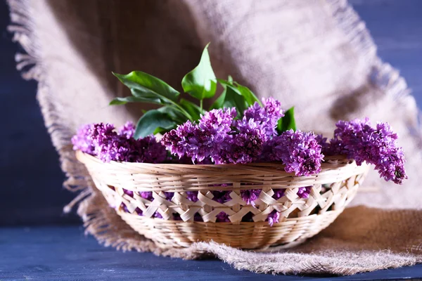 Beautiful lilac flowers in wicker basket, on color wooden background
