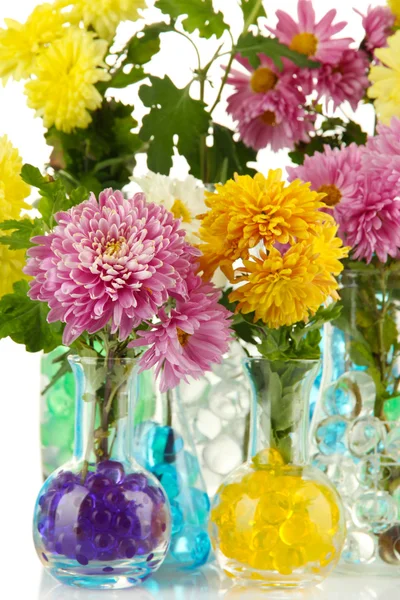 Beautiful flowers in vases with hydrogel close up