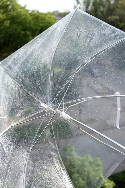 Wet transparent umbrella on natural background