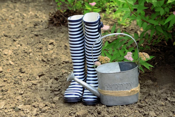 Rubber boots with watering can  near bush- gardening concept