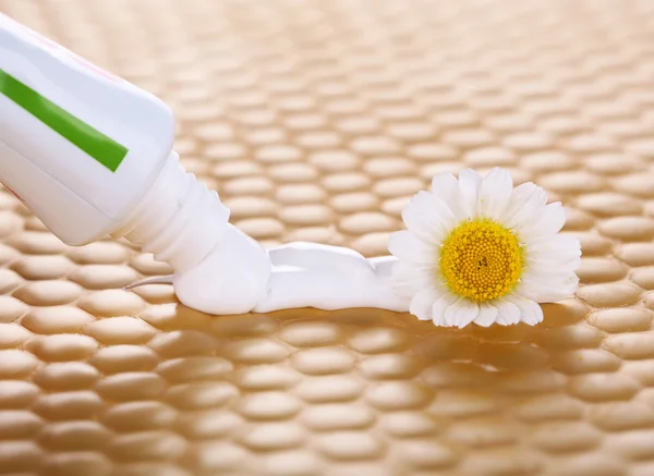 Toothpaste squeezed from tube, chamomile flower, close-up, on bright background