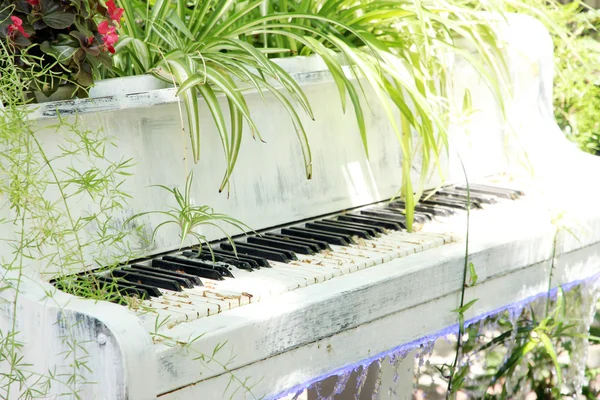 Garden with pond and piano in retro style