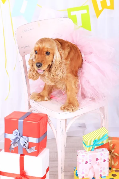 niedliche geburtstagssprüche