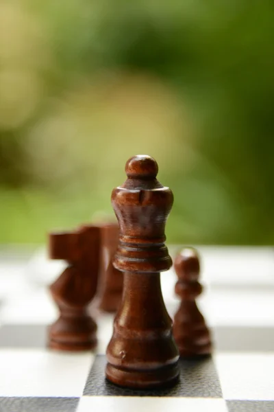 Chess board with chess pieces on bright background