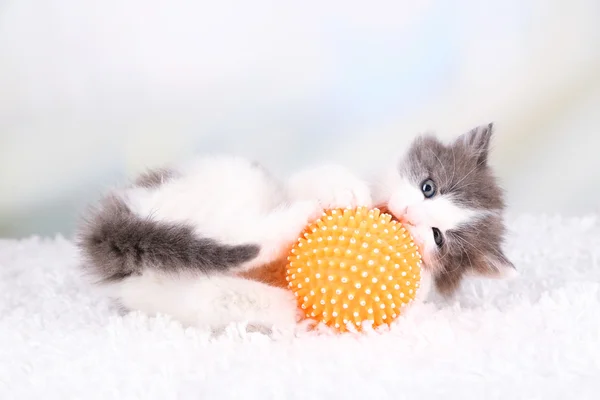 Cute little kitten playing with ball on white carpet, on light background