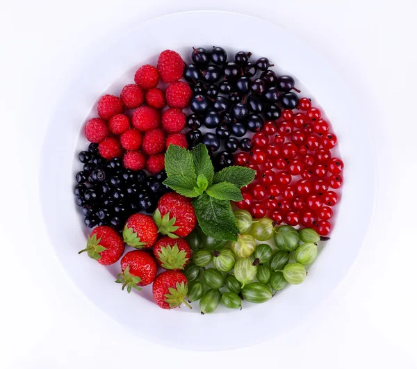 Forest berries on plate
