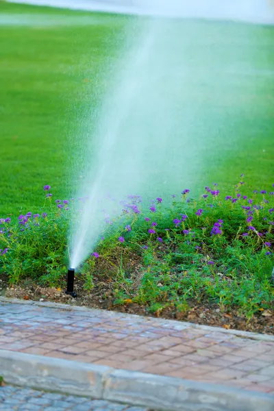 Automatic sprinklers watering grass