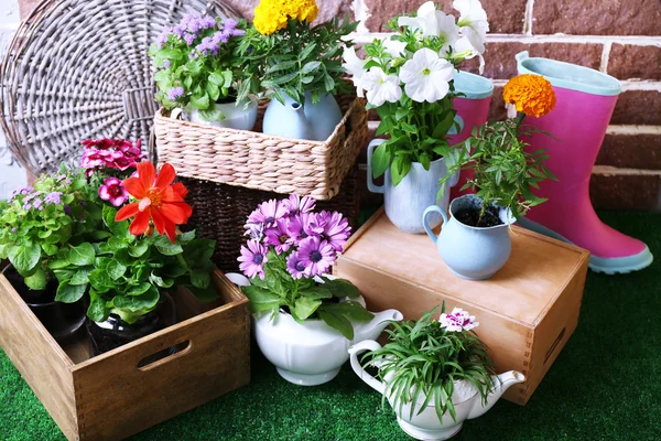 Flowers in decorative pots and garden tools on green grass, on bricks background
