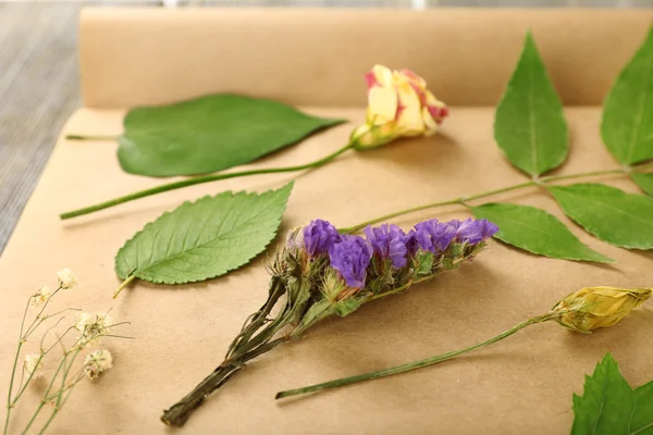 Dry up plants on scrapbook