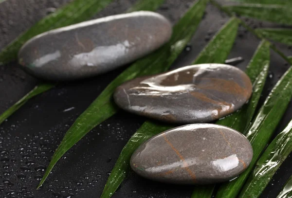 Spa stones with water drops on palm leaf on black background