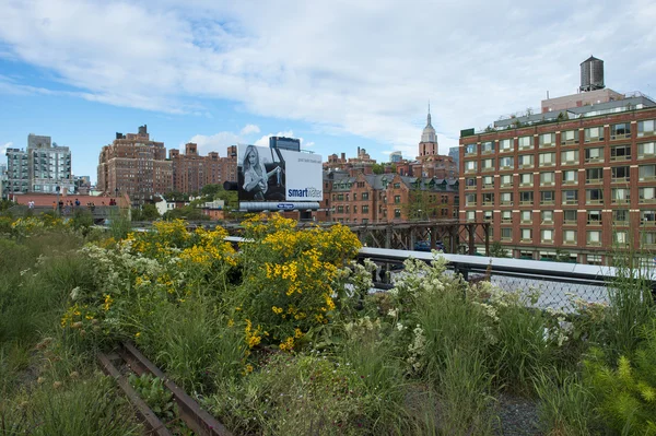 High line park in New York