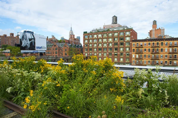 High line park in New York