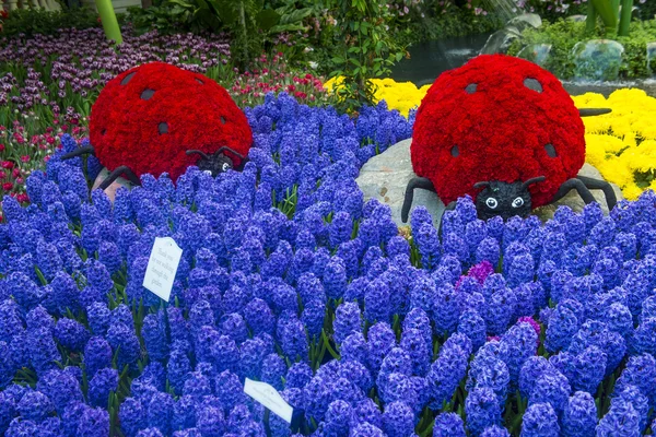 Bellagio Hotel Conservatory & Botanical Gardens