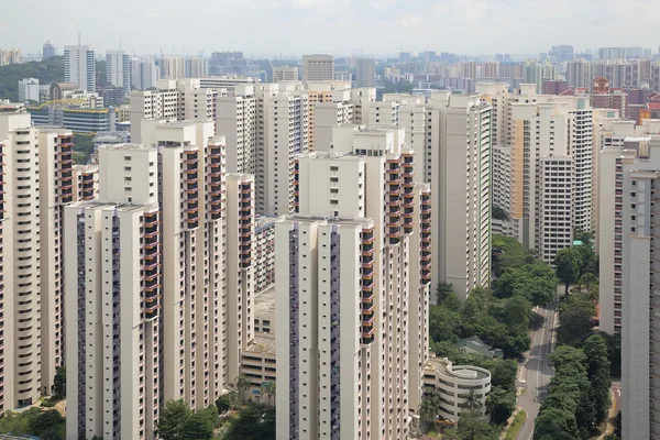 Singapore Typical Apartment Housing