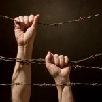 Вышиваем бисером - официальный сайт Выкройки для женщин шикарных размеров. Юбки, блузки, топы, жакеты