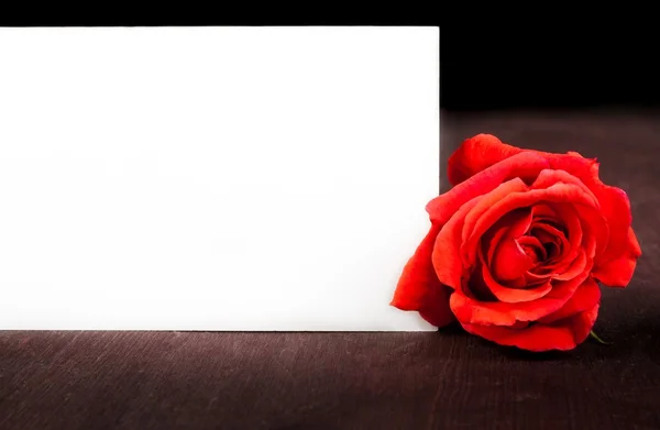 Red rose near blank gift card for text on old wood background