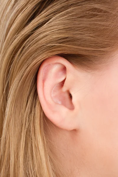 A young woman\'s ear close-up