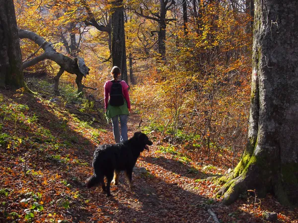 A walk with a friend