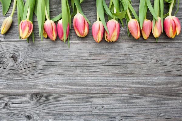 Fresh tulips arranged on old wooden backgroun