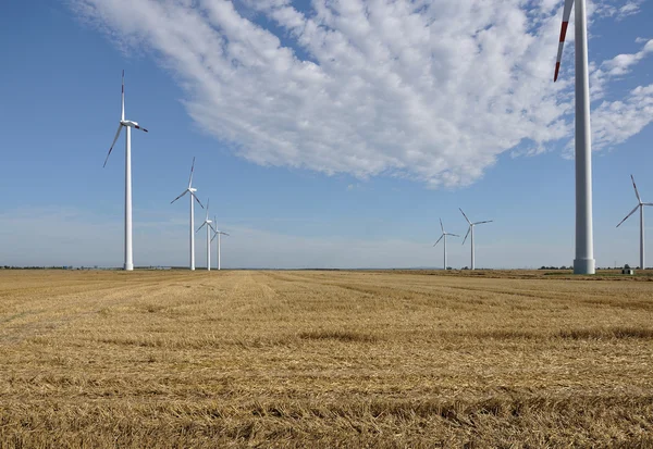 Energy plant in stubble, saxony