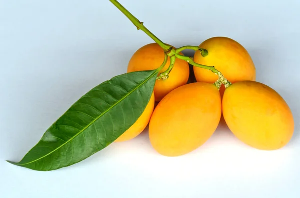 Sweet yellow Marian plum ,Plum mango, thailand