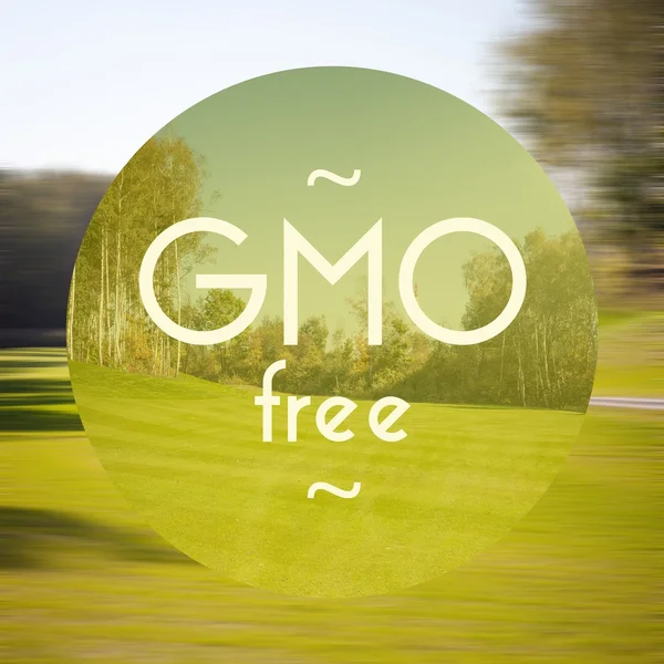 GMO free poster illustration of healthy food