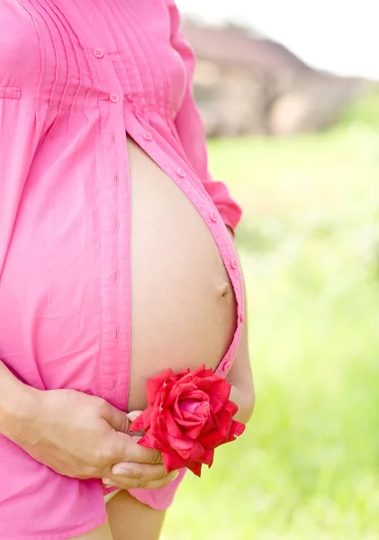 Pregnant woman with roses and her hands on her belly