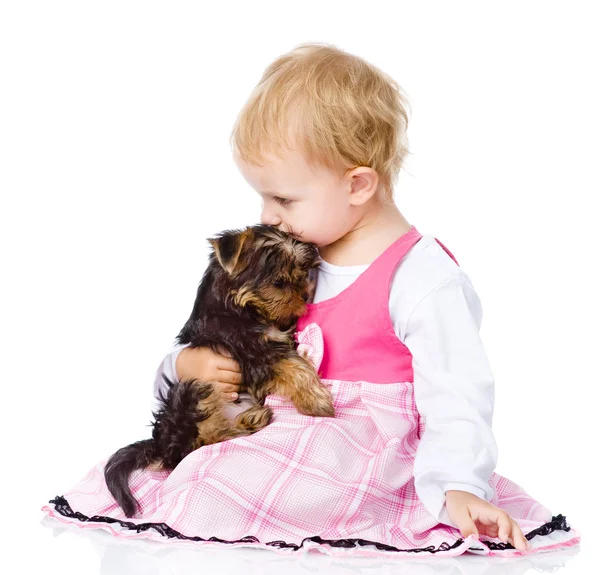 photo of girls йоркширский №37377 photo of girls йоркширский № 37376