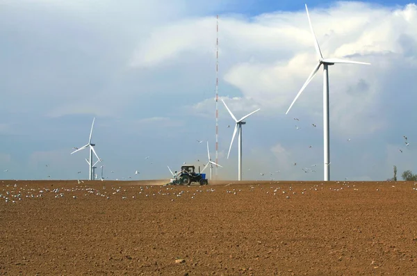 Windmills (wind turbines) in the steppes