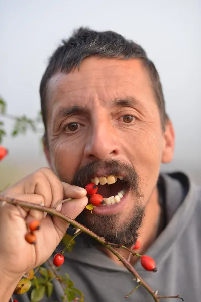 Man picking up wild rose hip