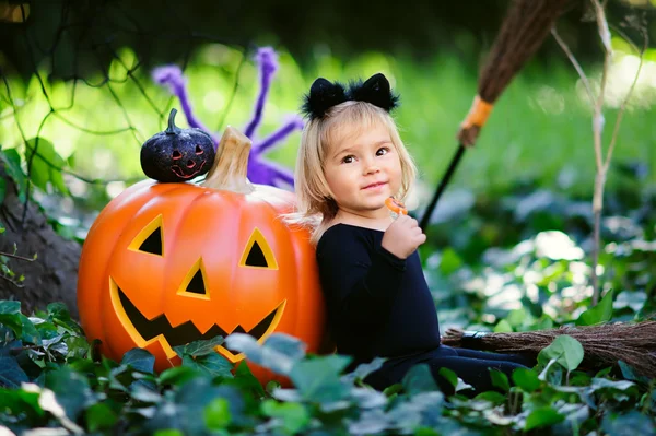 Little girl in halloween costume with candy and jack pumpkin