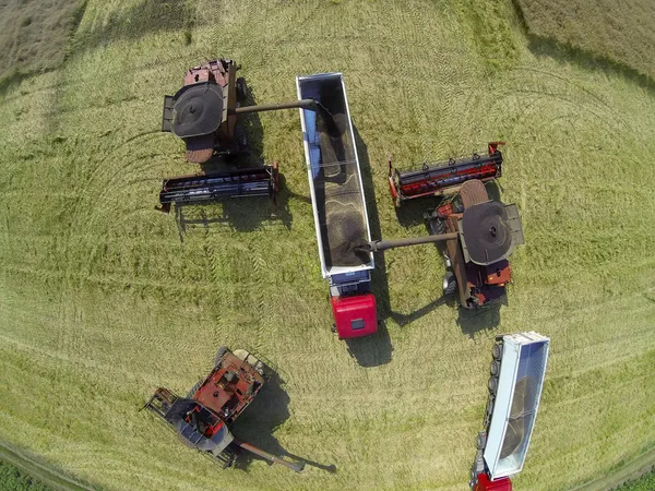 Wheat harvest machines aerial view