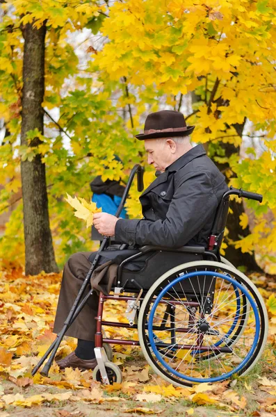 Disabled grandfather and grandchild outdoors