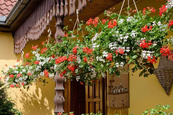 Colourful flower baskets hanging on a porch