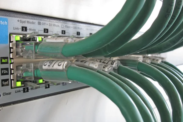 Green computer network cable in a data rack