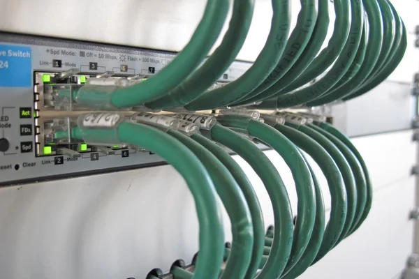 Green computer network cable in a rack of data processing center