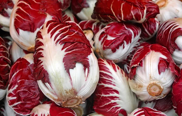 Red radicchio of treviso for sale