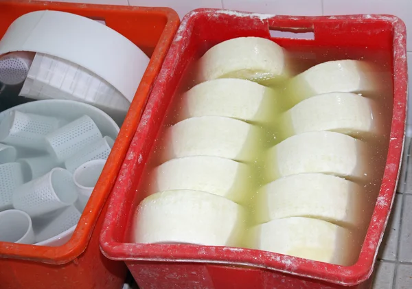 Production of cheese and fresh caciotta cheese within the dairy