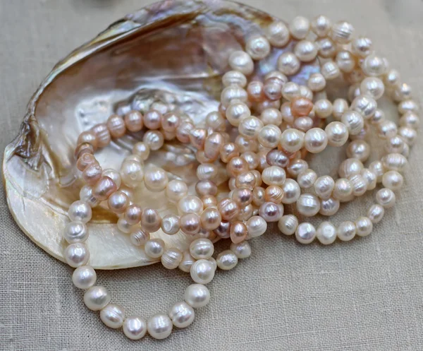 Mother of Pearl Necklace with original Oyster for sale by jewele
