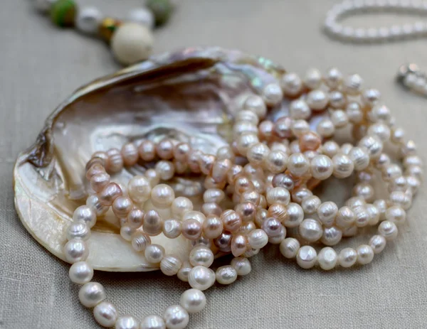 Pearl Necklace with original Oyster for sale by jeweler