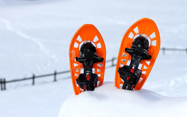 Isolated snowshoes for walking on the snow on the high mountain