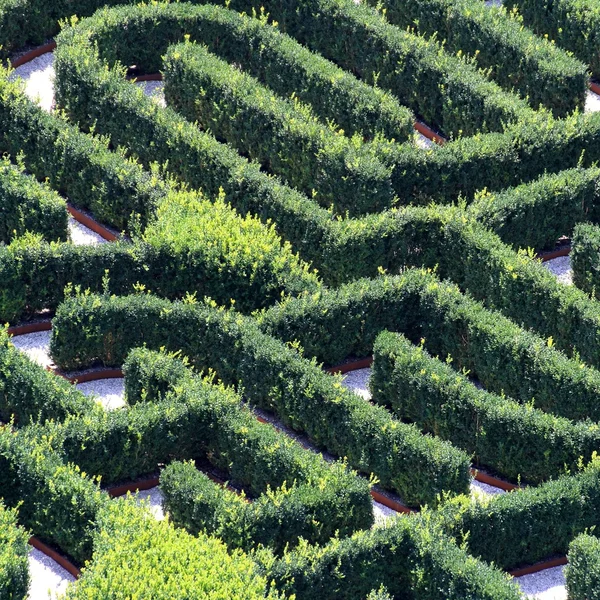Huge green maze made with hedges in a garden of a villa