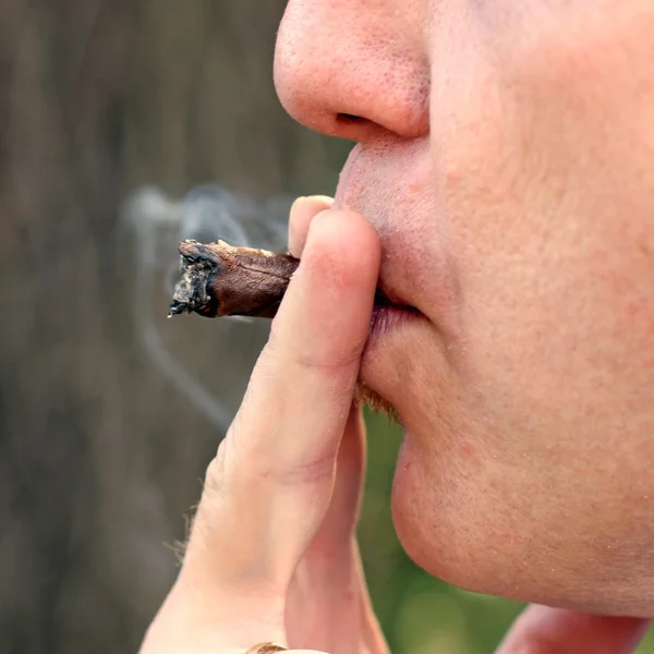 Cigar smoked by an smoker