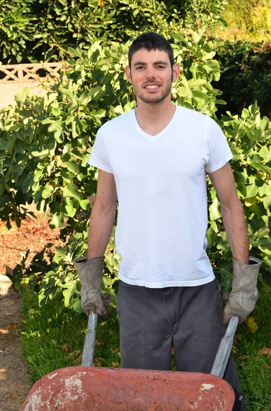 Man in Garden — Stock Photo #12091444