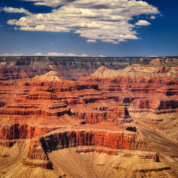 Grand canyon vivid day with white clouds, square format