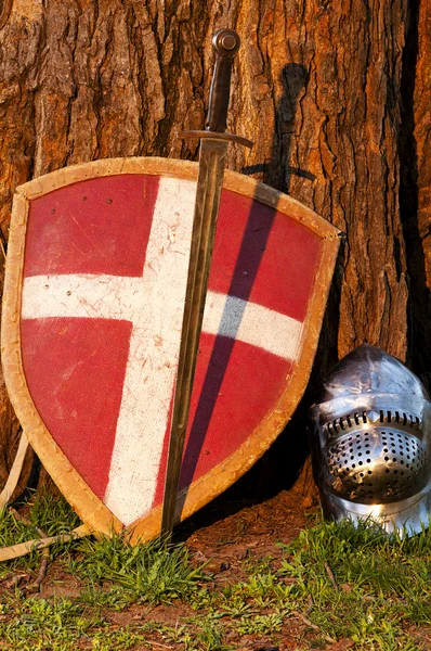Photo of the shield, sword and the helmet