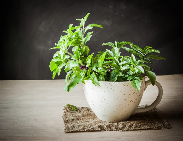 Holy Basil in the cup