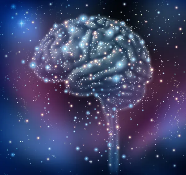 Brain Intelligence Discovery